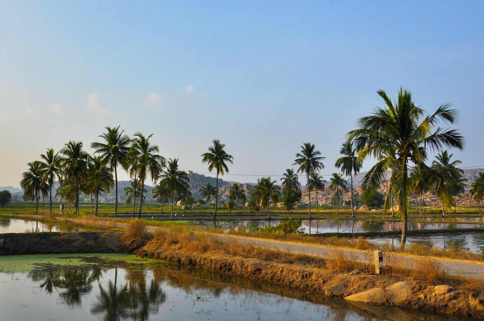 Dakshina Kannada Region