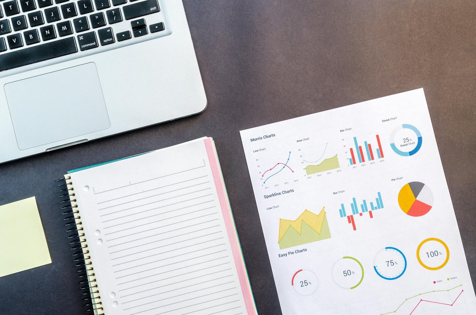 SEO Essential Plan Icon